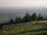 19 : 49