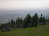 16 : 29