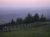 20 : 53