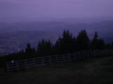 04 : 37