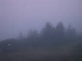 04 : 45