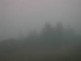 05 : 49
