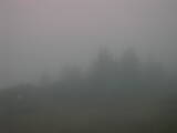 06 : 05