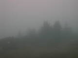 06 : 09
