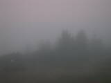 06 : 17