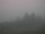 06 : 29