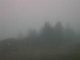 07 : 29