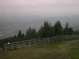 11 : 13