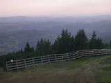 19 : 21