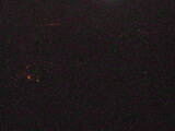 03 : 05