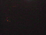 03 : 21