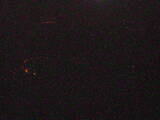 03 : 25