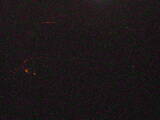 03 : 29
