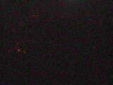 03 : 49