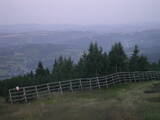 05 : 29