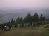 05 : 49