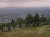 09 : 29