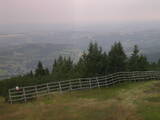 15 : 33