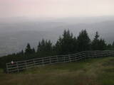 16 : 17