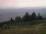 16 : 25