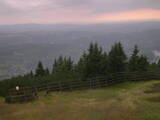 19 : 37