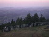 05 : 49