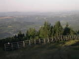 06 : 49