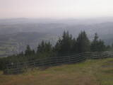 17 : 29