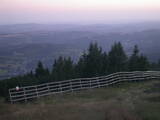 20 : 45