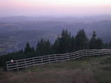 20 : 53