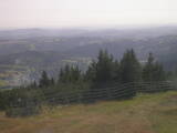 16 : 49