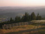 19 : 53
