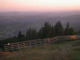 20 : 21