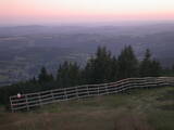 20 : 29