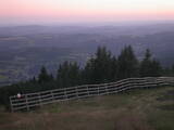 20 : 33