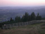 20 : 41