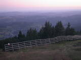 20 : 53