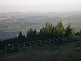 06 : 41