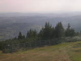 17 : 49