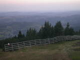 20 : 25