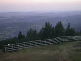 20 : 29