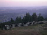 20 : 53