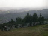 16 : 49