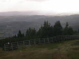 17 : 33