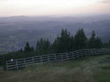 19 : 21