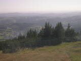 17 : 17