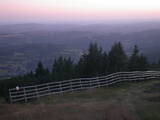 20 : 41