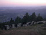 20 : 49