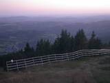 20 : 53