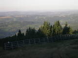 06 : 49